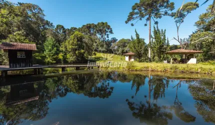 Chácara / sítio com 5 quartos à venda na Rua João Lipinski, Colônia Murici, São José dos Pinhais, 450 m2 por R$ 6.500.000