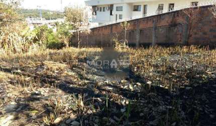 Lote - Terreno à venda, São Luiz - Belo Horizonte/MG