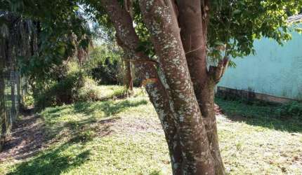 TERRENO COM 488m² - BAIRRO VILA NOVA - NH