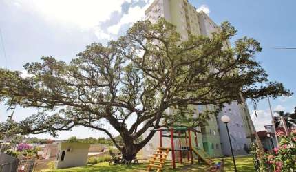 Apartamento de 2 quartos no bairro Vila Rosa / Rincão