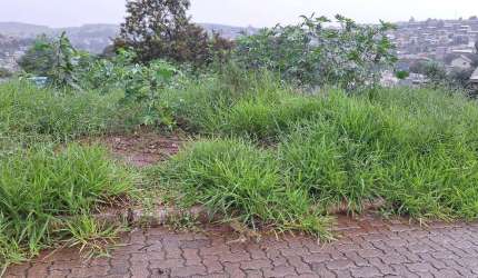Terreno Residencial no bairro Boa Saúde