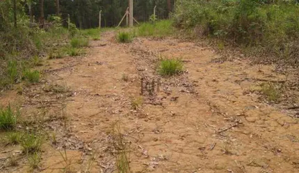 Terreno em Condomínio Terra da Mata com 1000m² pronto para construir , portaria 24 horas