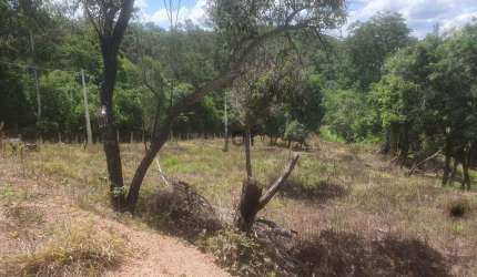 Terreno de 4.000m² Imperdível em  São Roque: Preço Competitivo em uma Região privilegiada!