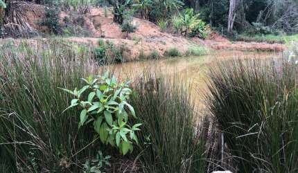Terreno com pequeno lago