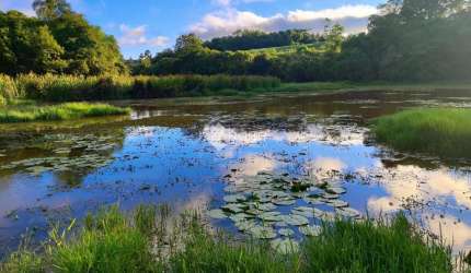 Chácara / sítio com 1 quarto à venda na Avenida Brasil, 1000, Zona Rural, São Miguel Arcanjo, 125598 m2 por R$ 750.000