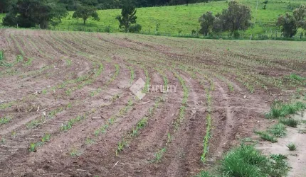 Chácara / sítio com 1 quarto à venda na Rural, 555, Área Rural de Itapetininga, Itapetininga, 3291200 m2 por R$ 2.176.000