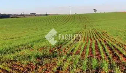 Chácara / sítio com 3 quartos à venda na Área Rural, 200, Área Rural de Tatuí, Tatuí, 895400 m2 por R$ 12.000.000