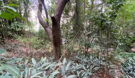 TERRENO COM 4.474M²-TANQUE-OPORTUNIDADE