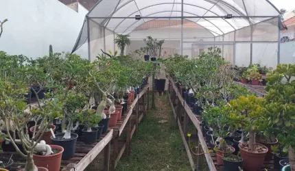 Terreno Comercial em Palmital - Marília, SP