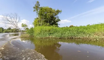 Ilha para Venda em Morretes, Barreiros