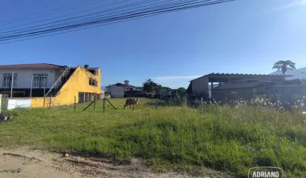 Terreno para alugar, 1201 m² por R$ 5.211,65/mês - Sertão do Maruim - São José/SC