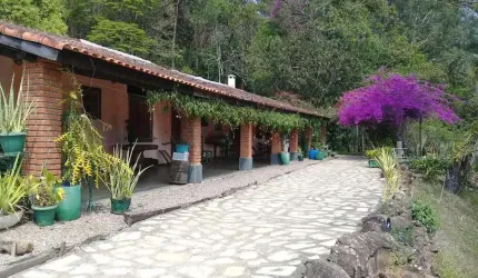 Sítio para Venda em Jarinu, CAMPO LARGO, 2 dormitórios, 1 banheiro, 3 vagas