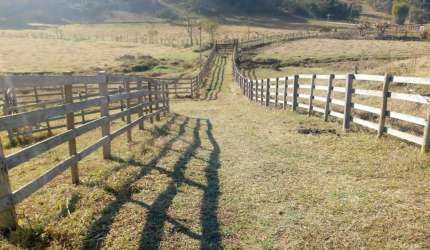 Sítio para Venda em Cambuí, RURAL, 2 dormitórios, 1 banheiro