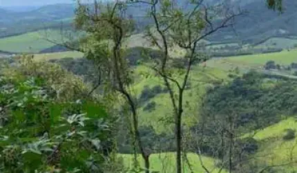 Terreno para Venda em Vargem, RURAL