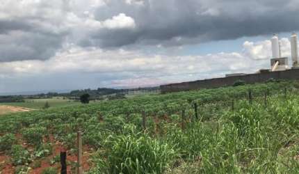 Terreno INDUSTRIAL á 1km Castelo Branco km99 sentido Sorocaba (Próx. Empres