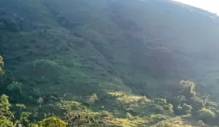 Gleba 174 hectares Poços de Caldas MG