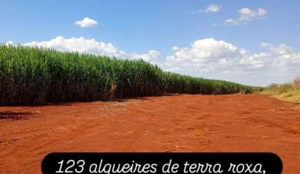 Fazenda de cana,  terra roxa região de Ribeirão Preto SP