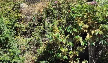 Casa com 2 quartos à venda na Avenida Vicente de Carvalho, Vicente de Carvalho, Rio de Janeiro, 60 m2 por R$ 219.000