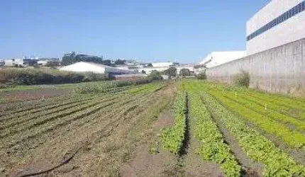Área Industrial para Venda em Arujá, Portão