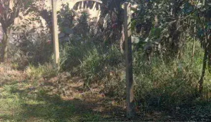 Terreno para Venda em Santa Isabel, Aralú