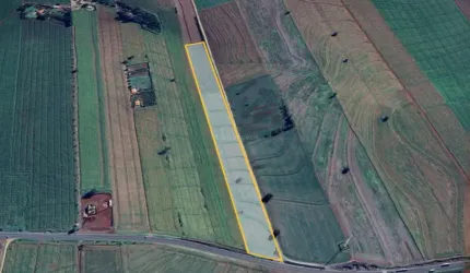 Chácara à venda, BR 444 - PROXIMO A ARAPONGAS - CACHARA NA BR 444