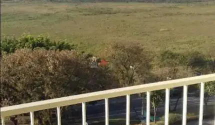 Apartamento Padrão em São José dos Campos