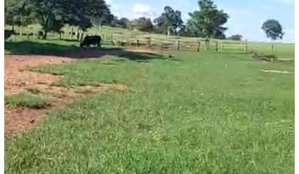 Linda Fazenda em mato Grosso,