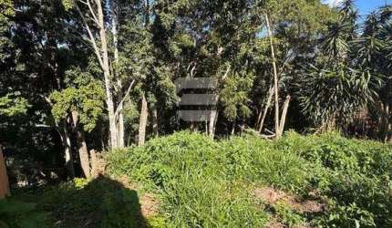 Terreno à venda, 550 m² por R$ 300.000,00 - Braunes - Nova Friburgo/RJ