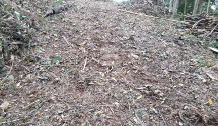 Ótimo terreno de 2231 mts²  no centro da cidade, perto de comércios locais