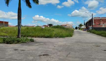 Lote no solar do porto