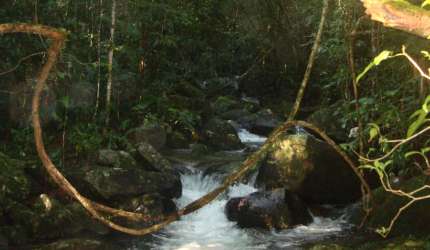 Linda Fazenda na região de Paulo Lopes