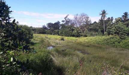 Fazenda para Venda em Camaçari, Monte Gordo (Monte Gordo)