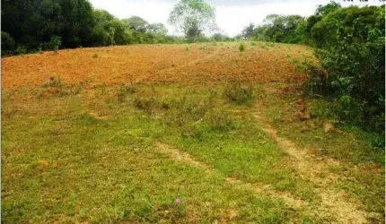 Sítio para Venda em Camaçari, Vila de Abrantes (Abrantes)