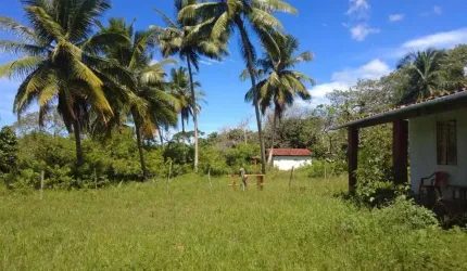 Sítio para Venda em Lauro de Freitas, Quingoma