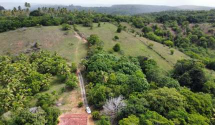 Fazenda para Venda em Camaçari, Barra do Pojuca (Monte Gordo)