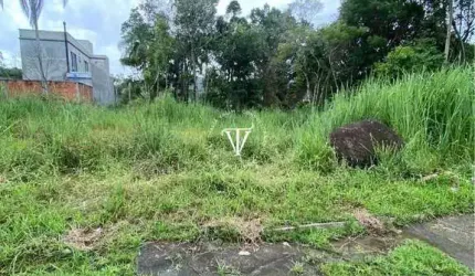 TERRENO EM ZIMBROS