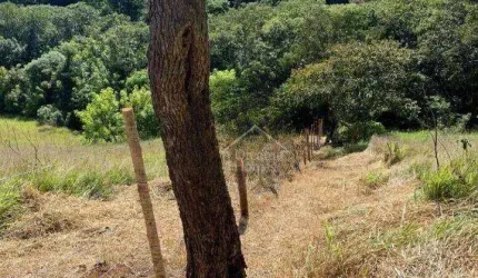 Área Comercial à venda, Quintas de Maria Elvira, Santana de Parnaíba - AR0068.