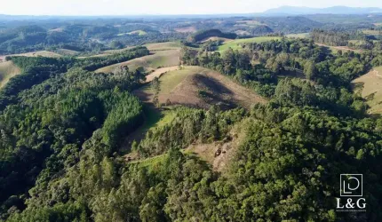 Terreno para Venda em Campo Alegre, Bateias de Cima