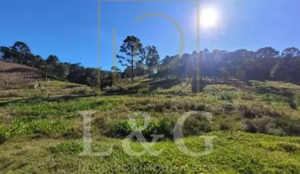 Terreno para Venda em Campo Alegre, Campinas