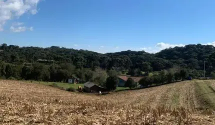 Chácara para Venda em Campo Alegre, Campinas, 6 dormitórios, 5 banheiros