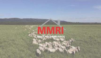 Fazenda à venda na Zona Rural, Goiatins 