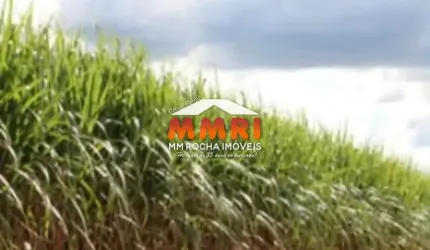Fazenda à venda no Centro, Presidente Prudente 
