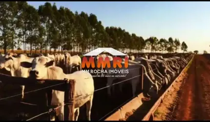 Fazenda à venda no Centro, Presidente Prudente 