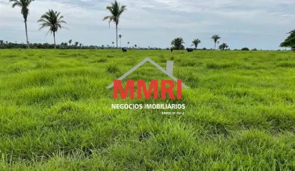 Fazenda à Venda na Região de Tocantins