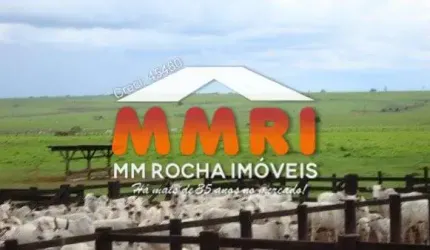Fazenda para Pecuária proximo a Campo Grande/MT