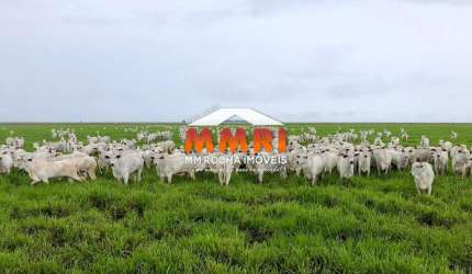 Fazenda de Duplas Aptidão a Venda em na Região Sul de Piauí