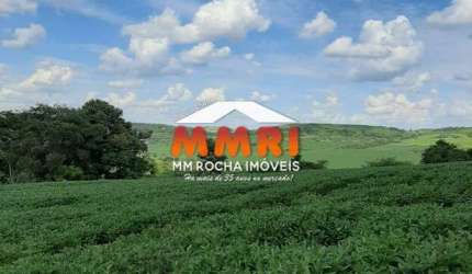 Fazenda à venda em Cornélio Procópio/PA