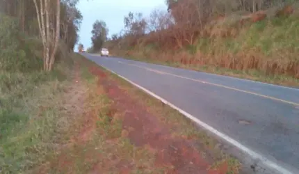 Fazenda ótima topografia terra vermelha forma da em soja em Itapeva - R$ 160.000 mi, Cod: 3629