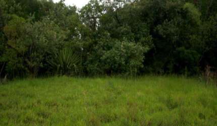 Terreno à venda em Araçoiabinha - Araçoiaba da Serra/SP