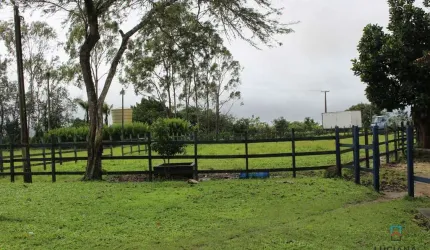 Propriedade com 220 hectares em Chã Grande
